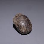 Oud-Egyptisch Feldespar Hartscarabeus. 2,8 cm L. Laatste, Verzamelen