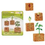 Speelfiguren Levenscyclus Sperziebonenplant - Safari Ltd 4, Nieuw