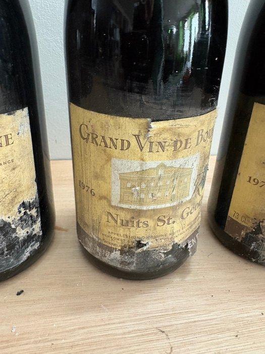 1976 Robbers van den Hoogen - Nuits St. Georges - 4 Flessen, Verzamelen, Wijnen