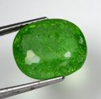 Paraiba toermalijn - 10.72 ct - Gemological Institute of, Nieuw