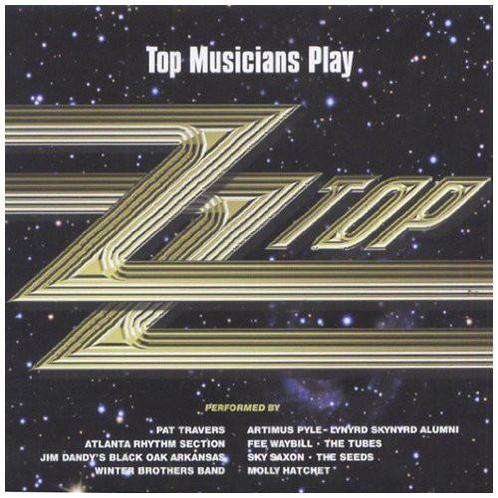 cd - Various - Top Musicians Play: ZZ Top, Cd's en Dvd's, Cd's | Overige Cd's, Zo goed als nieuw, Verzenden