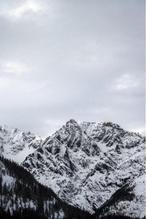 Bess Irissa - Monochrome Escape