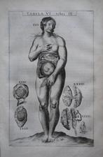 Andreas Vesalius - Anatomie ofte Afbeeldinghe van de deelen