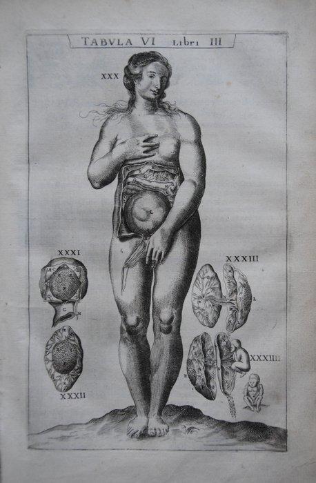 Andreas Vesalius - Anatomie ofte Afbeeldinghe van de deelen, Antiek en Kunst, Antiek | Boeken en Bijbels