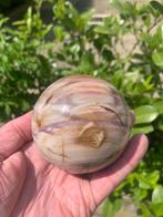 Versteend hout Bol - Hoogte: 7.9 cm- 683 g - (1)