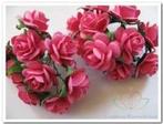 Mulberry Fuchsia 2 cm 50 Roses, Ophalen of Verzenden, Nieuw