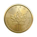 1/2 troy ounce gouden Maple Leaf munt 2023/2024, Postzegels en Munten, Edelmetalen en Baren, Ophalen of Verzenden