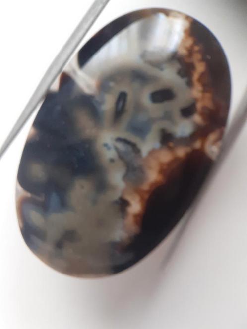 Natural blue and brown Agate - 41.153 ct - oval - rare sumat, Sieraden, Tassen en Uiterlijk, Edelstenen, Nieuw