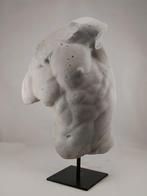 sculptuur, Torso Gaddi - 32 cm - Gips