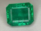 1 pcs Groen Smaragd - 17.51 ct - Guild Gem Laboratory -, Nieuw