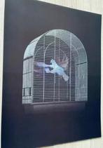 Imbue (1988) - Digital Dove, Antiek en Kunst