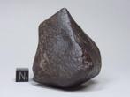 NWA niet-geclassificeerde Sahara stenen meteoriet - 79×52×43