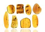 Birmese Amber - Fossiele cabochon - Lot of 8 Pieces - with a