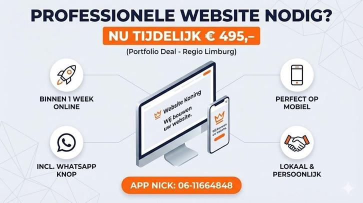 Professionele Website laten maken? €495, Diensten en Vakmensen, Webdesigners en Hosting, Domeinregistratie, Webdesign, Webhosting