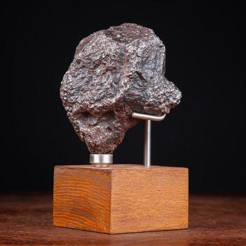 Campo Del Cielo - Meteoriet - 2,3 kg - Hoogte: 164 mm -, Verzamelen, Dierenverzamelingen