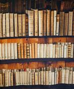 370x280 cm! Stof met realistische antieke boekenkast! Retro