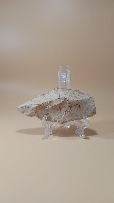 Neolithisch Steenbijl (onvolledig / ruwe vorm) (Zonder, Antiek en Kunst, Antiek | Overige Antiek