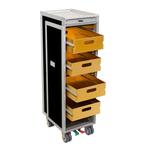 Egret Aviation - Trolleys van luchtvaartmaatschappijen -