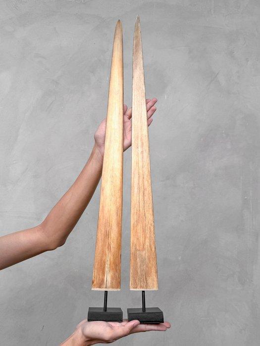 Geen reserveprijs - een paar zwaardviskaken gemonteerd op op, Antiek en Kunst, Curiosa en Brocante