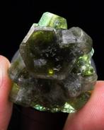 Esthetische edelsteen groene apatiet drijver Met sterke