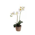 Kunstplanten Orchidee wit 42 cm in pot - Overige kunstplan.., Huis en Inrichting, Kamerplanten, Ophalen of Verzenden