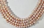 Perlas Rosas in natuurlijke kleur - Glorieuze staat van de, Antiek en Kunst