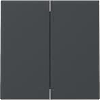 GIRA Systeem 55 Bedieningswip serie/wissel-wissel Antraciet, Ophalen of Verzenden, Nieuw