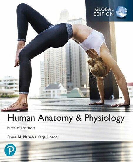 9781292260853 | Human Anatomy & Physiology, Global Edition, Boeken, Studieboeken en Cursussen, Verzenden