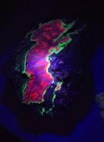 Zeer zeldzame Puttapa willemiet en calciet Fluorescerende