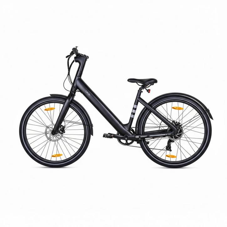 E-bike rijden vanaf €9,95/week -Onderhoud & verzekering incl, Fietsen en Brommers, Elektrische fietsen, Nieuw