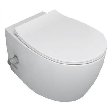 Wandcloset inclusief softclose bril randloos toiletpot Bidet