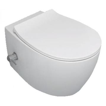 Wandcloset inclusief softclose bril randloos toiletpot Bidet beschikbaar voor biedingen