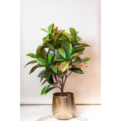 Kunstplant - Croton Codiaeum - Wonderstruik - 120 cm, Huis en Inrichting, Woonaccessoires | Kunstplanten en Kunstbloemen, Nieuw