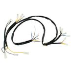 Tomos Kabelboom voorzijde zonder remlicht aansluiting S25..., Ophalen of Verzenden, Nieuw, A.J. Bromfiets Parts B.V.