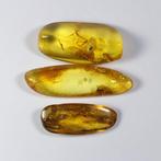 Baltische barnsteen met 4 insecten, waterdruppel, haar van, Verzamelen