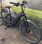 Electrische Pegasus Premio EVO 10 Lite | Bosch CX | E-Bike, Overige merken, Ophalen of Verzenden, Zo goed als nieuw, 47 tot 51 cm