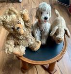 Steiff - Teddybeer Cosy Piggy - 1960-1970 - Duitsland, Antiek en Kunst