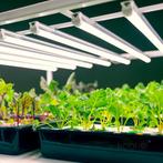 LED kweeklamp Kobi Growly 9W 59.3cm, Ophalen of Verzenden, Nieuw