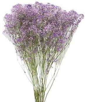 Gips Lila Gipskruid 70 cm in hoes, Huis en Inrichting, Woonaccessoires | Kunstplanten en Kunstbloemen, Nieuw, Ophalen of Verzenden