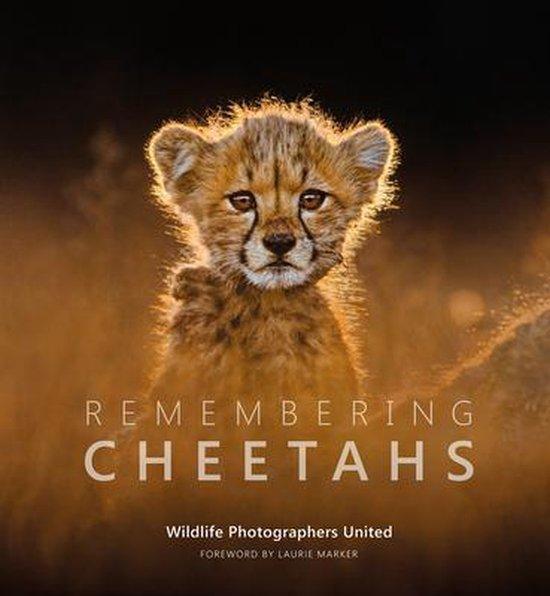 9781999643331 Remembering Cheetahs Margot Raggett, Boeken, Studieboeken en Cursussen, Nieuw, Verzenden