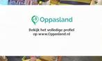Hoda zoekt een oppas in Amsterdam voor 3 kinderen voor 7..., Vacatures, Vacatures | Klantenservice en Callcenter