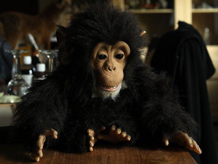 Hasbro - Automaat - Baby chimpanseé automaat, Antiek en Kunst, Antiek | Overige Antiek