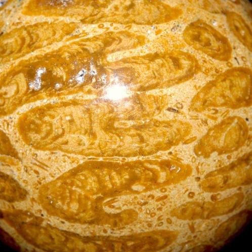 Exclusieve fossiele koraalbol - Krijt - Fossiele Madrepora -, Verzamelen, Mineralen en Fossielen