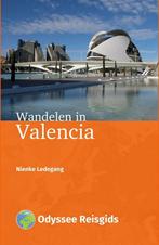 9789461231482 Wandelen in Valencia Nienke Ledegang, Boeken, Reisgidsen, Nieuw, Nienke Ledegang, Verzenden