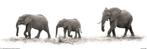 Poster Mario Moreno The Elephants 91,5x30,5cm, Verzamelen, Posters, Verzenden, Nieuw, A1 t/m A3