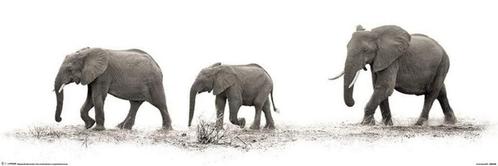Poster Mario Moreno The Elephants 91,5x30,5cm, Verzamelen, Posters, Nieuw, A1 t/m A3, Verzenden