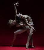 Erminando Aliaj - From the blood of Medusa Pegasus sprang, Antiek en Kunst