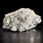 Decoratief ornament - NO RESERVE PRICE - A pair of Pyrite