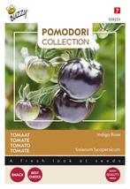 Pomodori Indigo rose (zwart) - Buzzy, Nieuw, Verzenden
