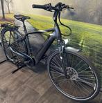 Pegasus Ravenna – Elektrische Herenfiets / Riem-aandrijving, Fietsen en Brommers, Elektrische fietsen, Overige merken, Ophalen of Verzenden